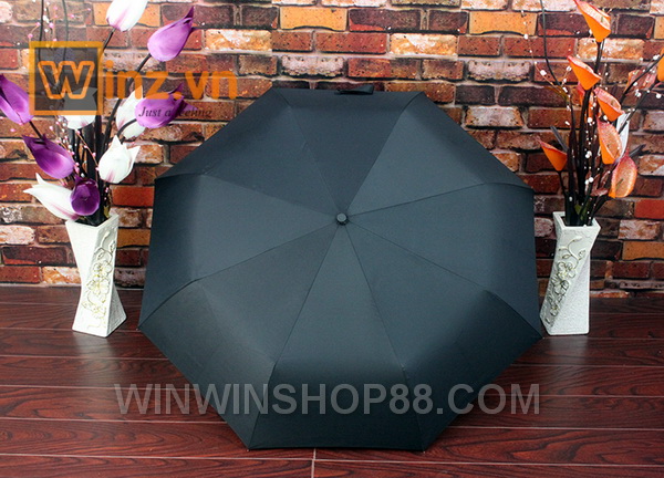 Du-xep-tu-dong-co-nut-bam