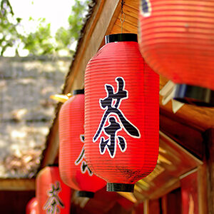 Lồng đèn Nhật Bản loại trung chữ trà V.1